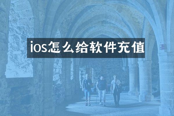 ios怎么给软件充值