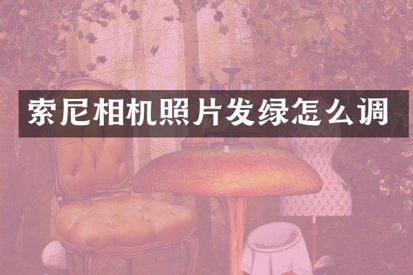 相机照片发绿怎么调