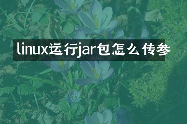 linux运行jar包怎么传参