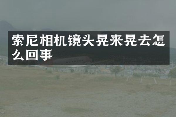 相机镜头晃来晃去怎么回事