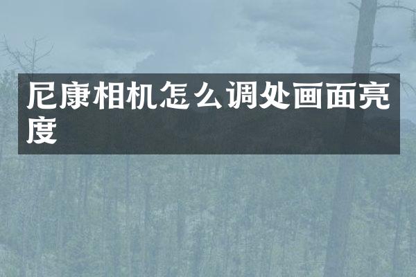 尼康相机怎么调处画面亮度