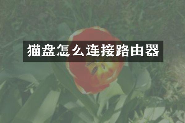 猫盘怎么连接路由器