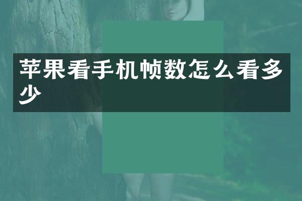 苹果看手机帧数怎么看多少