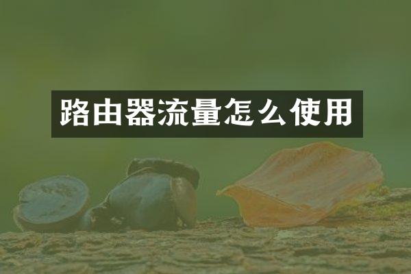 路由器流量怎么使用