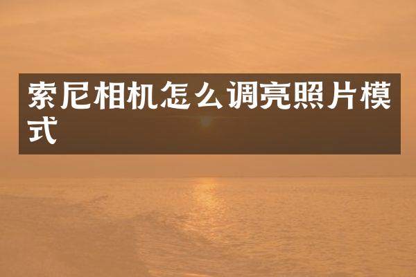 相机怎么调亮照片模式