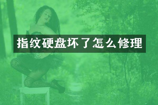 指纹硬盘坏了怎么修理