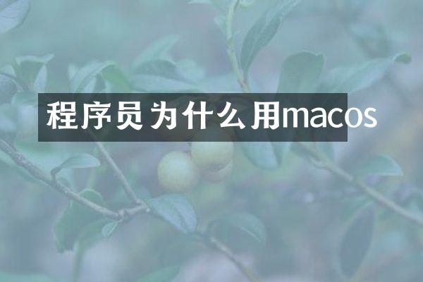 程序员为什么用macos