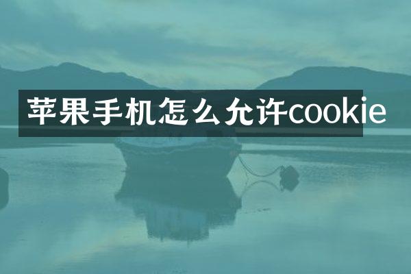 苹果手机怎么允许cookie