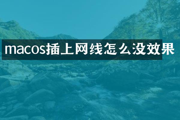 macos插上网线怎么没效果