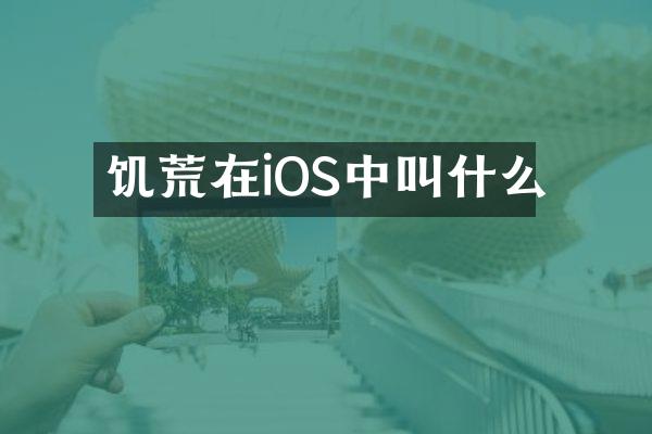 饥荒在iOS中叫什么