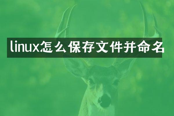 linux怎么保存文件并命名