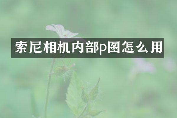 相机内部p图怎么用