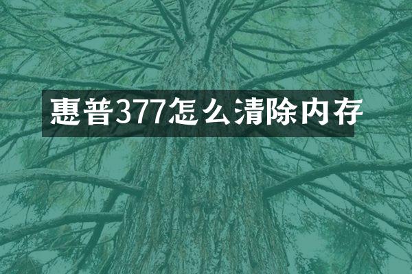惠普377怎么清除内存
