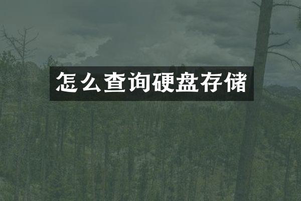 怎么查询硬盘存储
