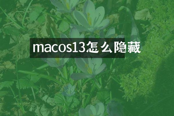 macos13怎么隐藏