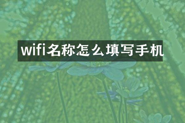 wifi名称怎么填写手机