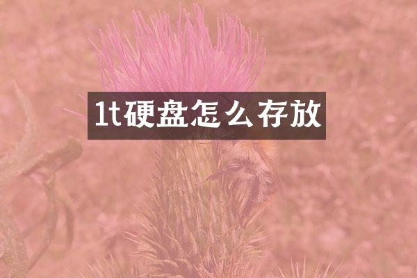 1t硬盘怎么存放