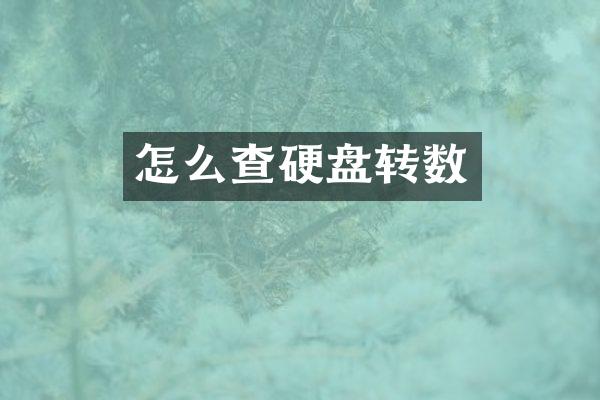 怎么查硬盘转数