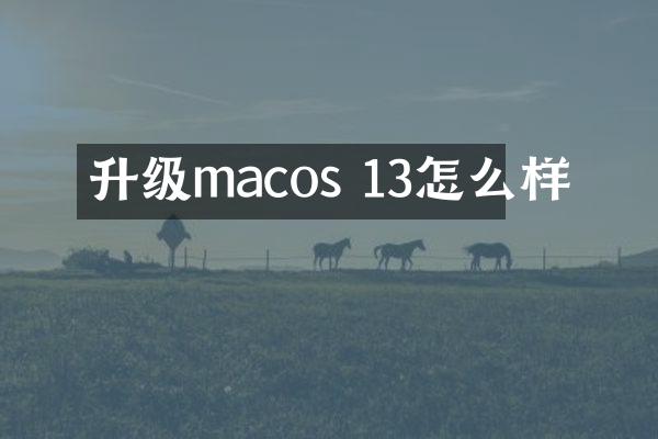 升级macos 13怎么样
