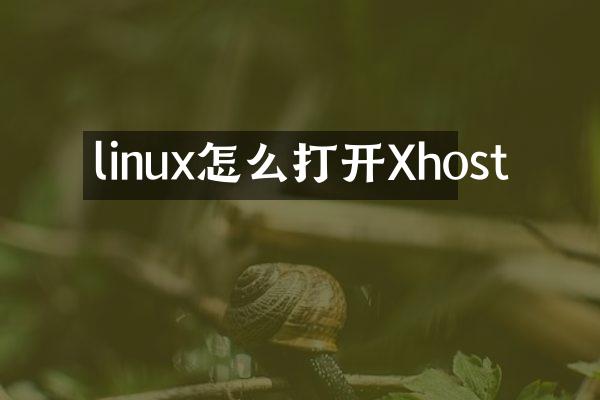 linux怎么打开Xhost