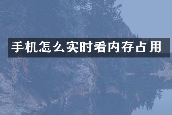 手机怎么实时看内存占用