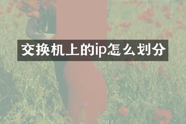 交换机上的ip怎么划分