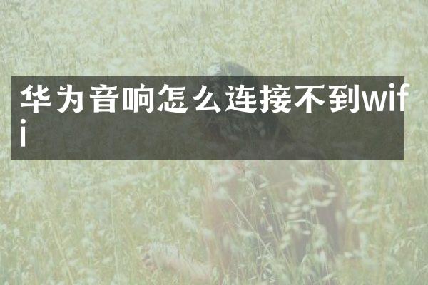 华为音响怎么连接不到wifi