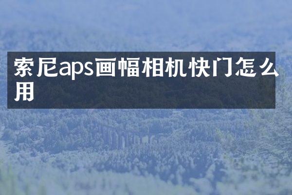 aps画幅相机快门怎么用