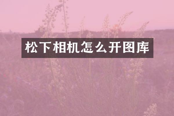 相机怎么开图库