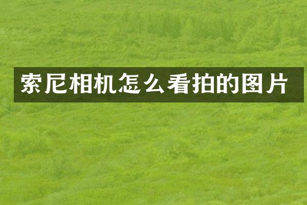 相机怎么看拍的图片