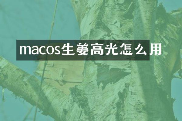 macos生姜高光怎么用