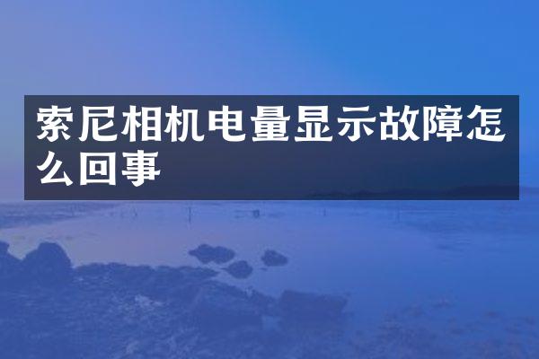 相机电量显示故障怎么回事