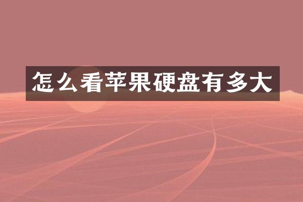 怎么看苹果硬盘有多大