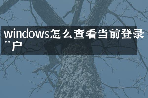 windows怎么查看当前登录用户