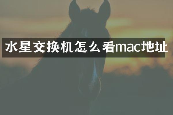 水星交换机怎么看mac地址