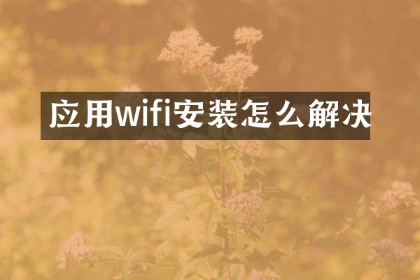 应用wifi安装怎么解决