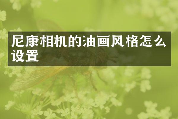 尼康相机的油画风格怎么设置
