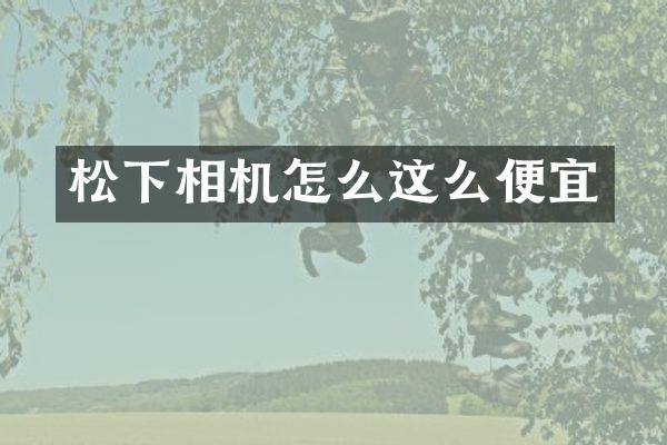 相机怎么这么便宜