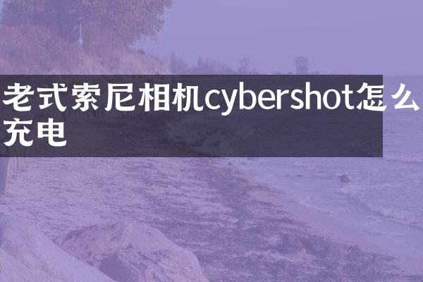 老式相机cybershot怎么充电