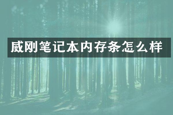 威刚笔记本内存条怎么样