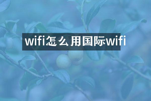 wifi怎么用国际wifi
