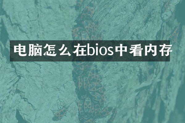 电脑怎么在bios中看内存