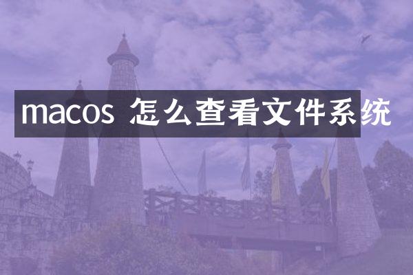 macos 怎么查看文件系统