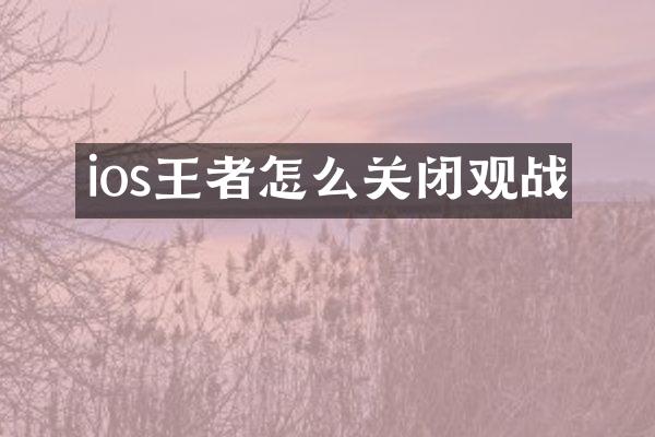 ios王者怎么关闭观战