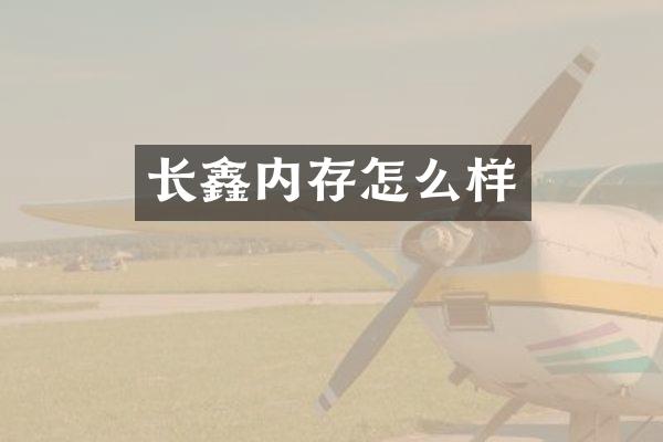 长鑫内存怎么样