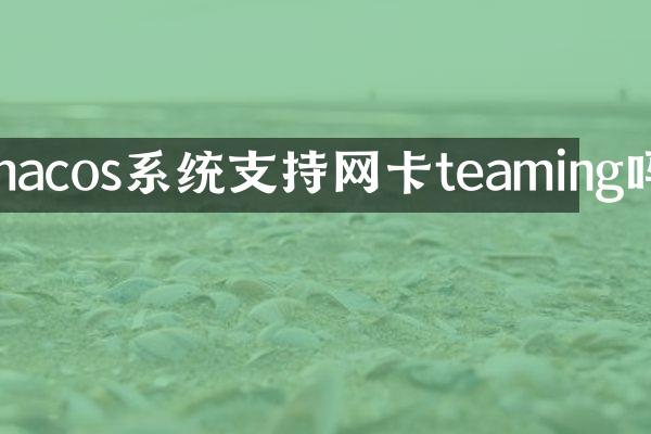 macos系统支持网卡teaming吗