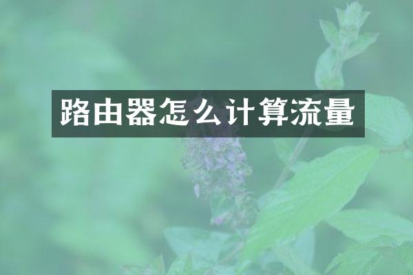 路由器怎么计算流量