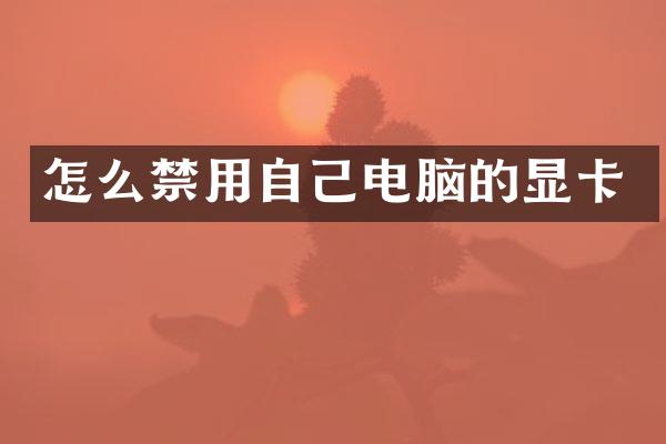 怎么禁用自己电脑的显卡