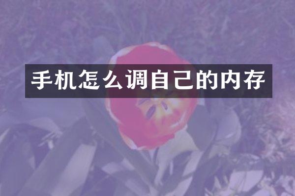 手机怎么调自己的内存