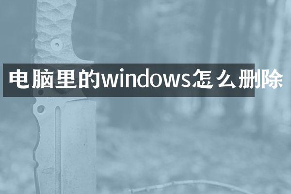 电脑里的windows怎么删除